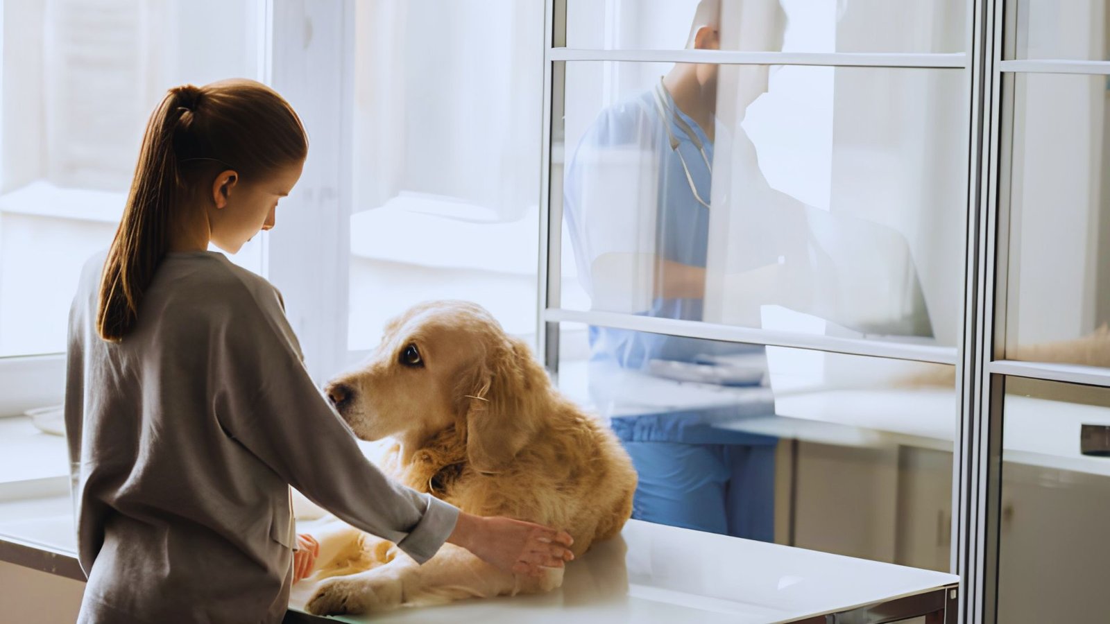 Dog owner caring for a limping dog while considering safe pain relief options.