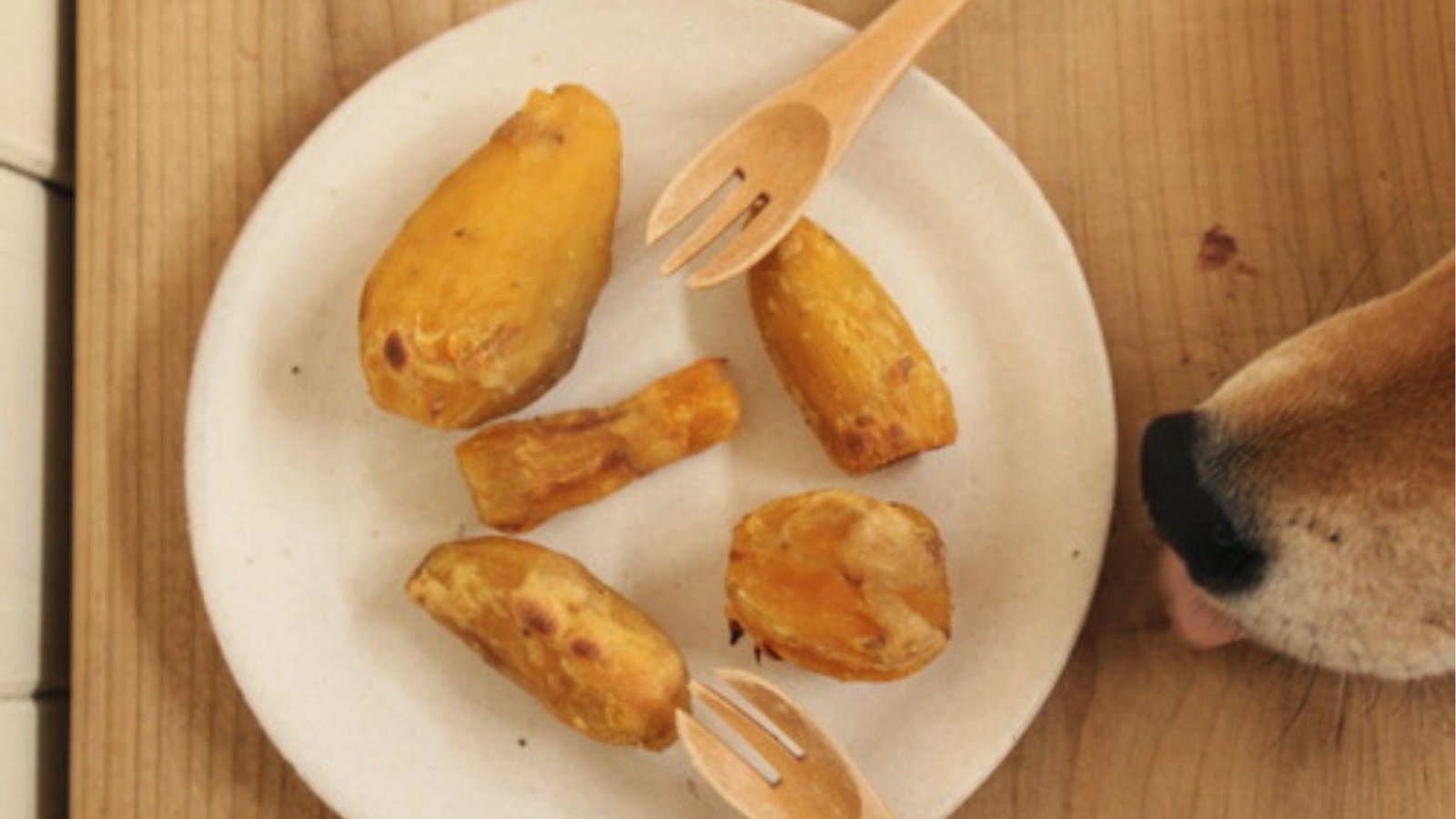 Dog sniffing a plate of cooked sweet potato chunks, a nutritious snack when served unseasoned.